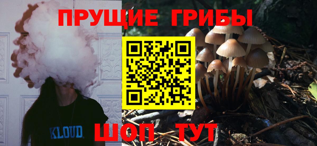 Псилоцибиновые грибы Cubensis Шарыпово